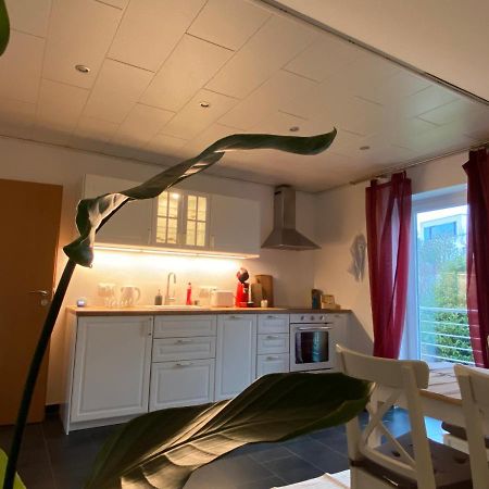 פרוידנברג Moderne Ferienwohnung Seeblick מראה חיצוני תמונה