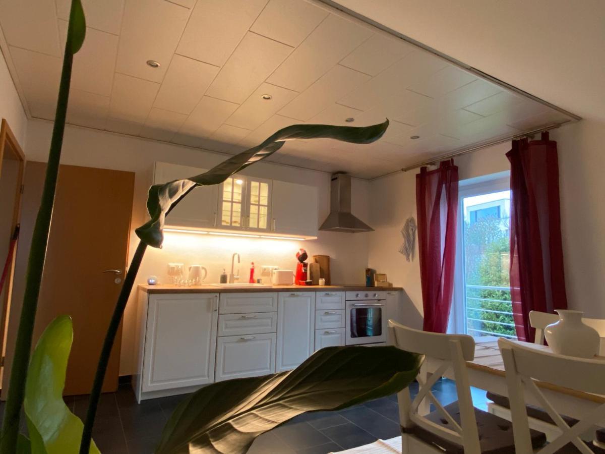 פרוידנברג Moderne Ferienwohnung Seeblick מראה חיצוני תמונה